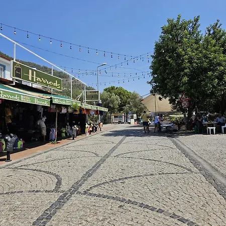 Malikane 빌라 Ortaca (Mugla)